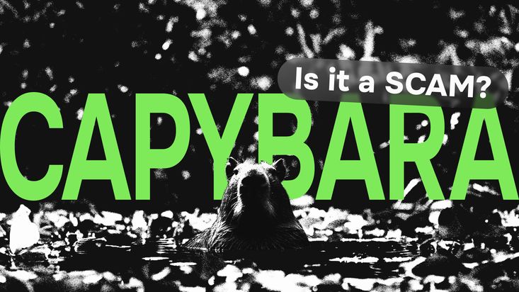 Was ist Capybara und ist ein Betrug? Reviews, Meinungen und DYOR