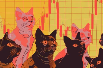 Кошачьи мемкоины принесли трейдерам миллионы