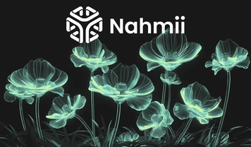 Nahmii 3.0 Testnet Lance des Incitations NFT