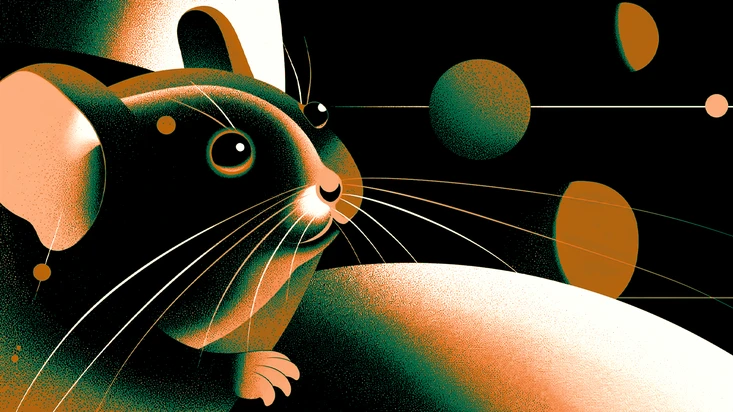 Hamster Kombat Game teilte Pläne für Juli
