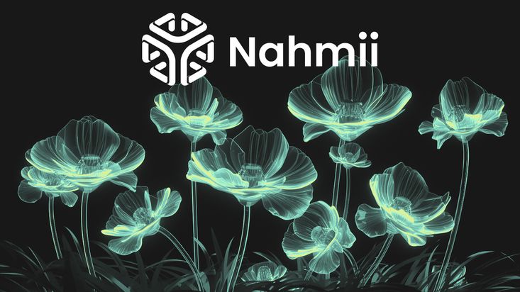 Nahmii 3.0 Testnet Lance des Incitations NFT