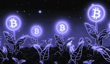 Биткоин достиг нового максимума в $71 500