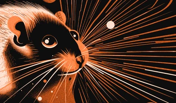 Nouvelles cartes combo dans Hamster Kombat pour les 18 et 19 juin