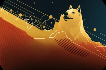 DOGE-отец и ракета: история провала и падения цены