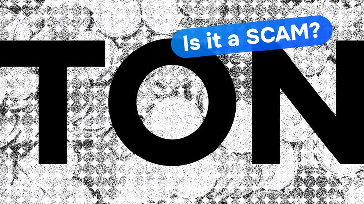Was ist Toncoin und ist es ein Betrug? Reviews, Meinungen und DYOR
