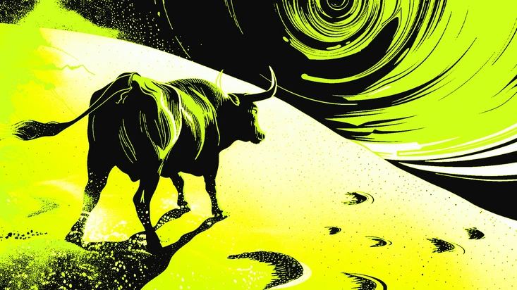 Bull Run 2024 oder Bull Not? Anzeichen, Vorhersagen und Meinungen zum Bullenmarkt 2024