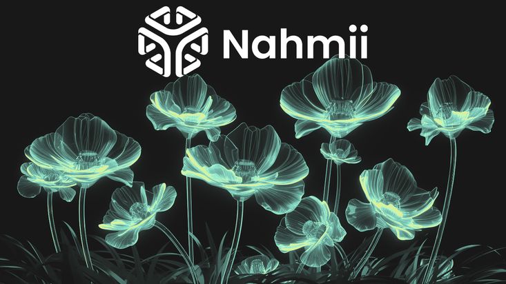 Тестнет Nahmii 3.0 вознаградит NFT-токенами