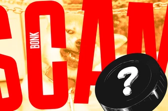 O que é Bonk Coin e será que é scam? Avaliações, opiniões e DYOR