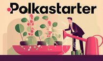 Polkastarter Launchpad : Guide Complet