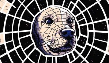 Спрос на мемкоины достиг максимума