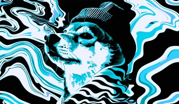 Мемкоин Dogwifhat (WIF) вырос на 27% после листинга на Binance