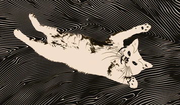 Мемокин POPCAT вырос вместе с биткоином