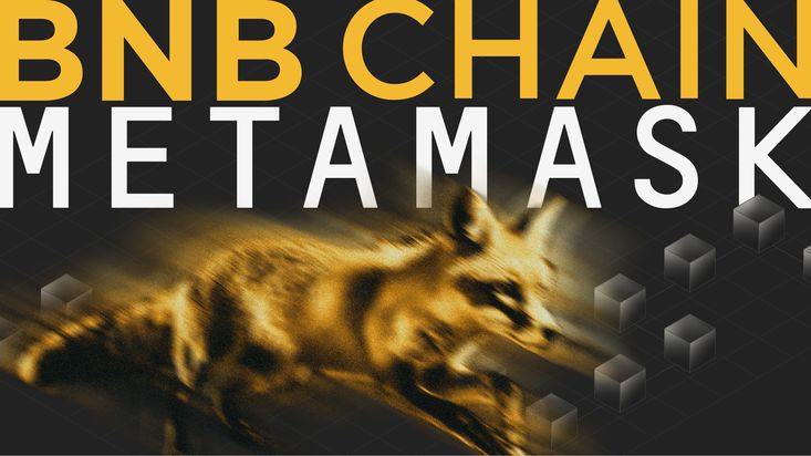 Как добавить Binance Smart Chain (BSC) в Metamask