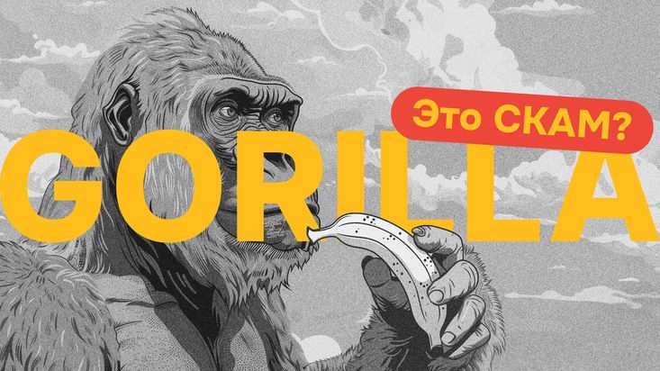 Что такое Gorilla и является ли проект скамом? Мнения, отзывы и DYOR