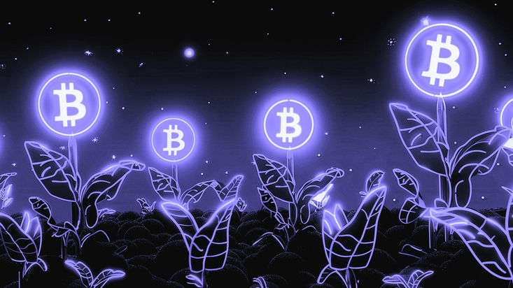 Bitcoin atinge nova máxima de US$ 71 500